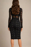 Rosa Long Sleeve Bodycon Dress Classic Black