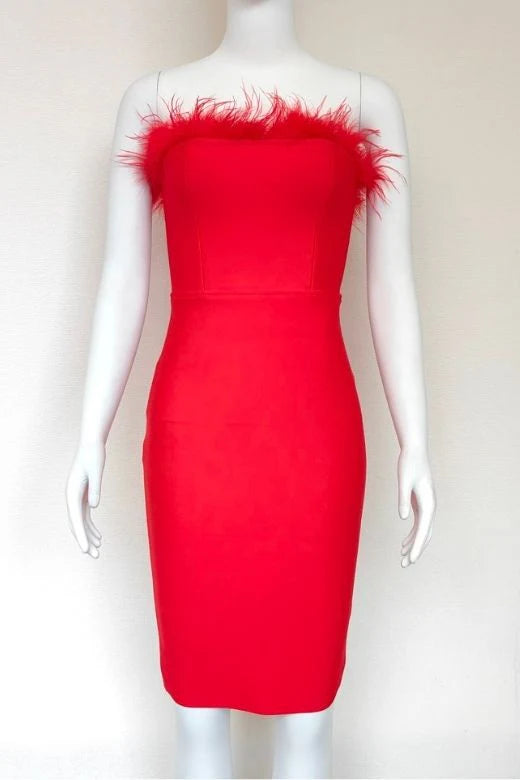 Erin Bandage Dress Lipstick Red