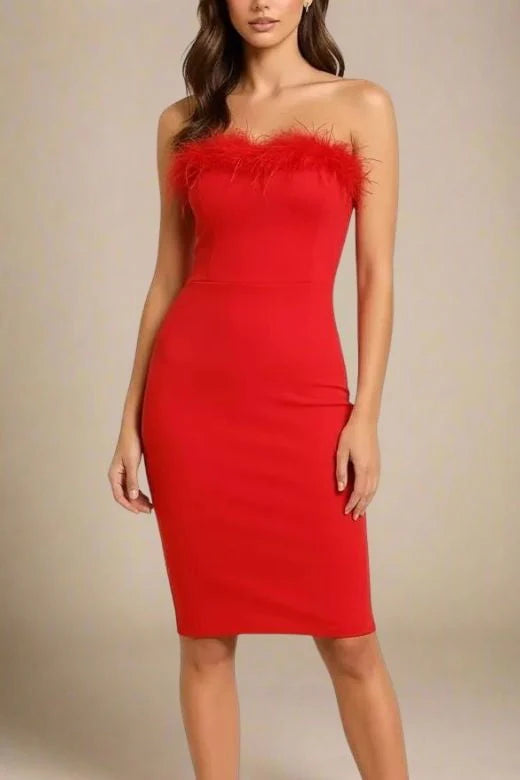 Erin Bandage Dress Lipstick Red