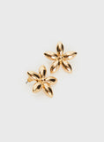 Torquil Earrings Gold