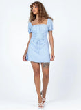Fauci Mini Dress Blue