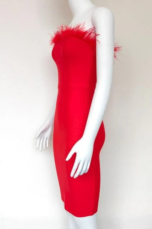 Erin Bandage Dress Lipstick Red