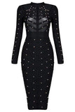Rosa Long Sleeve Bodycon Dress Classic Black