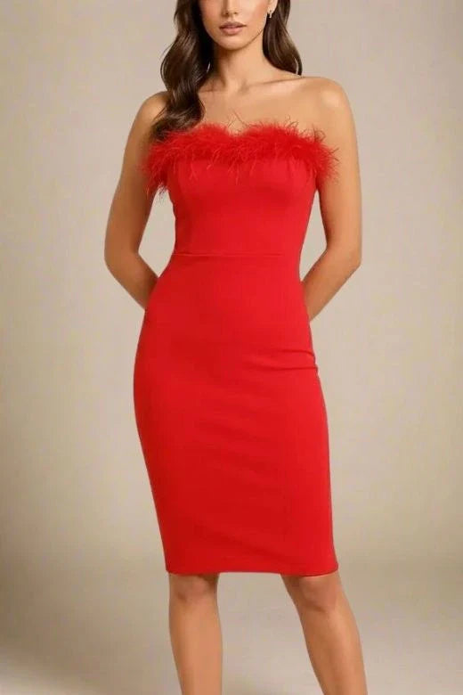 Erin Bandage Dress Lipstick Red