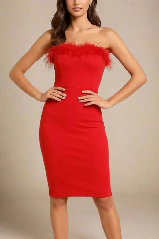 Erin Bandage Dress Lipstick Red
