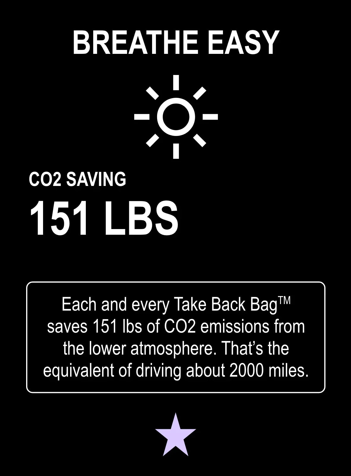 Take Back Bag